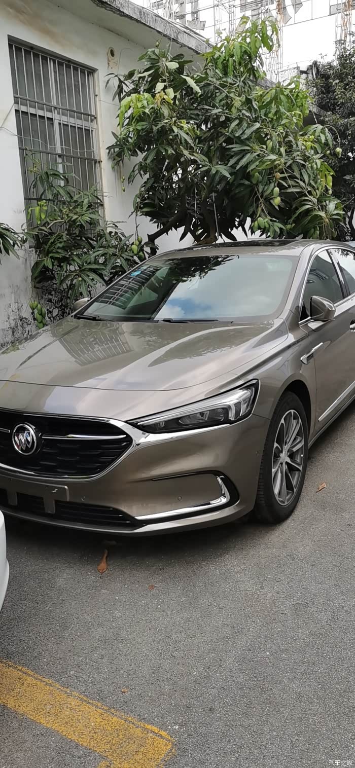 谁看过这个颜色的新君越