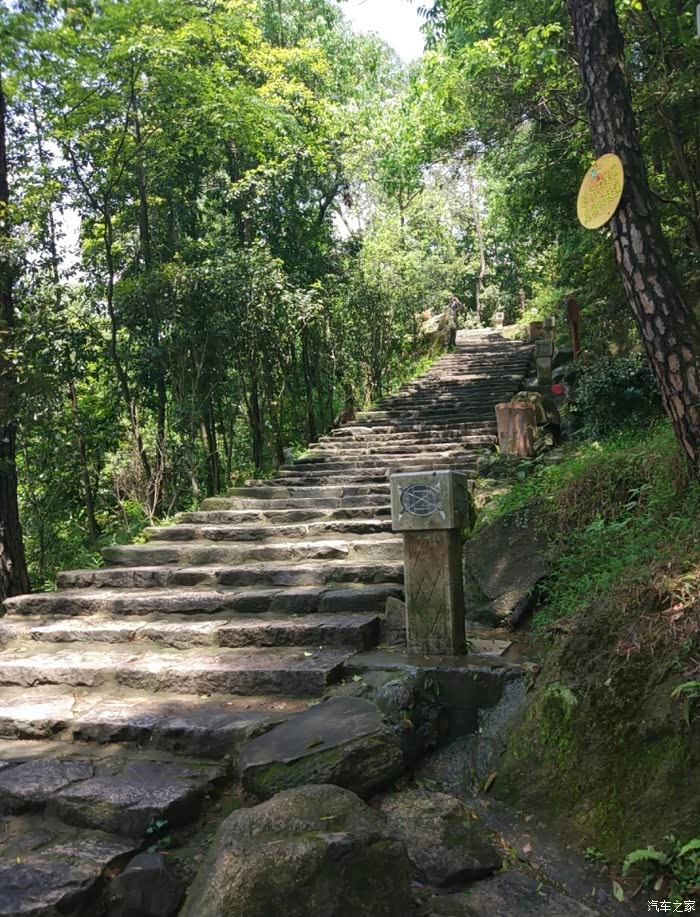 鼓山风光好我在山顶吹泡泡