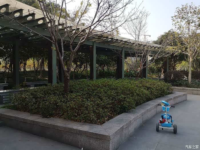 皇国山市民公园秋日秋景