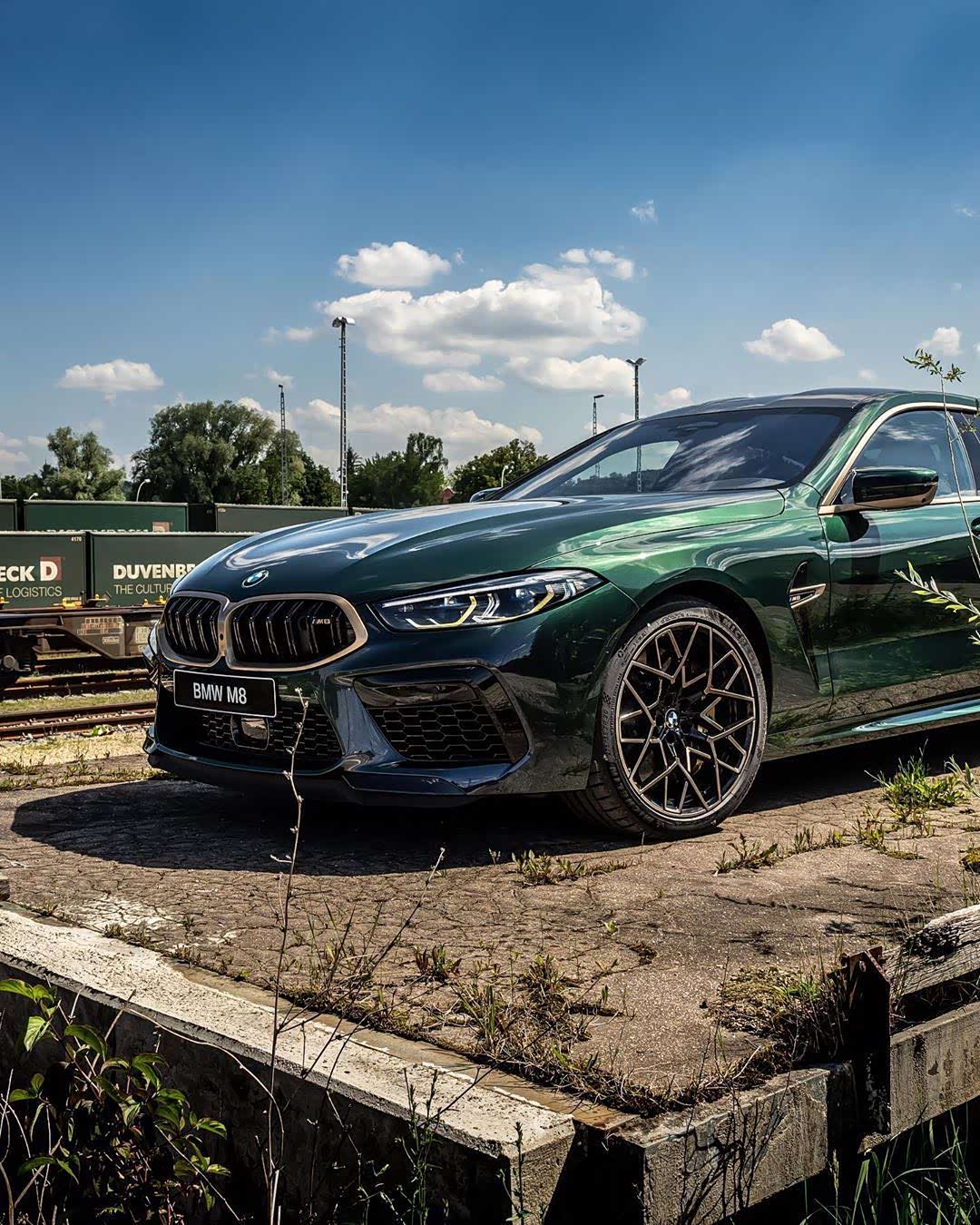 宝马m8 绿车身金轮毂,金鼻头真是太俏皮了