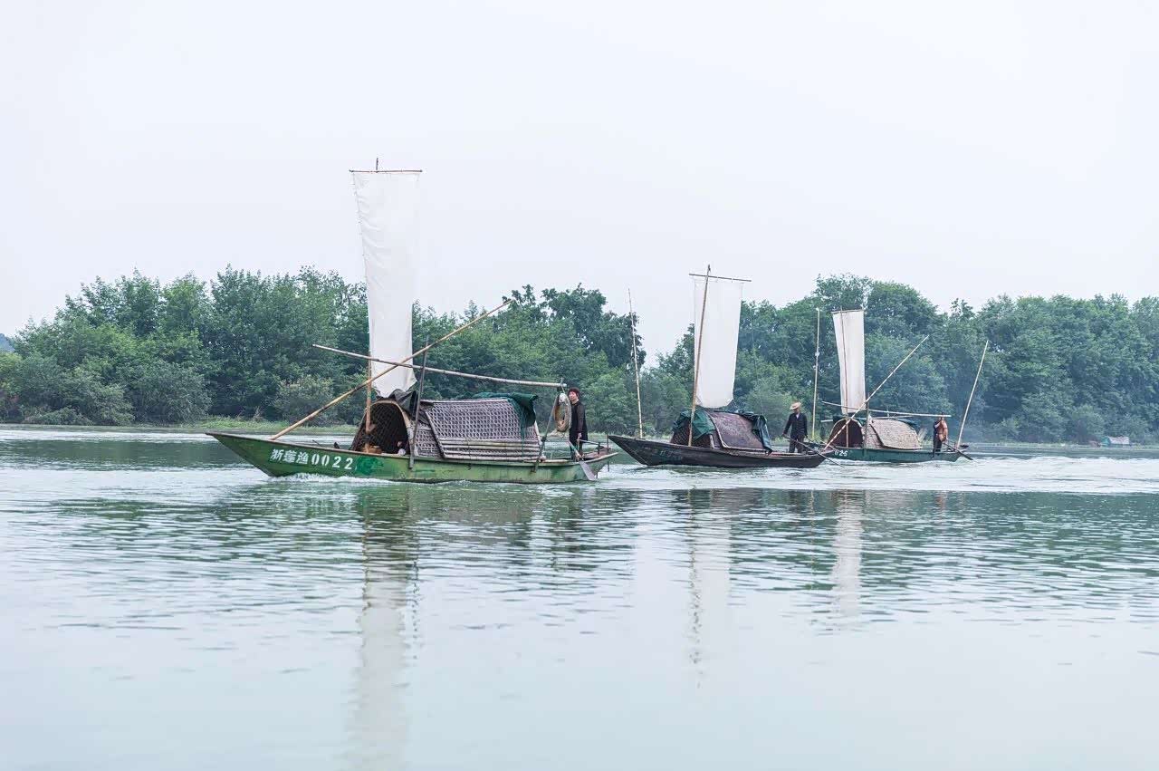 瓯江帆影,有波光,云影,舟船,水鸟,木排,竹筏.