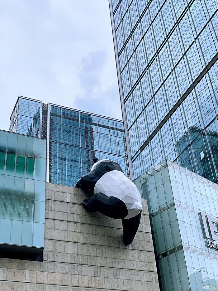 这个就是网红大熊猫了吧,趴在墙上,特别的好看,大家都喜欢来这打开