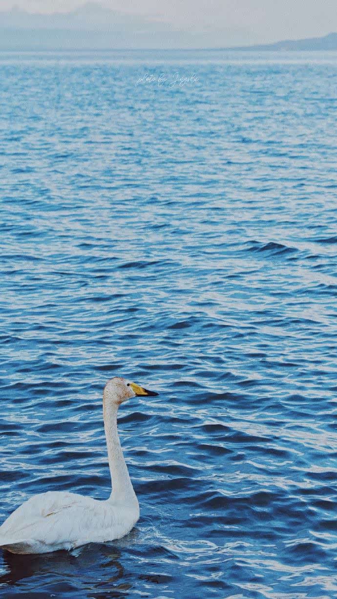 风景可以治愈人的心灵,如果你累了,就多走进大自然吧_noble论坛_手机