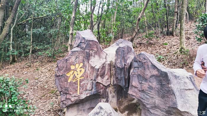 你好2021山不在高有仙则名初二登灵谷峰