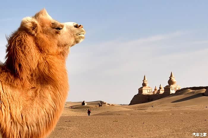 小舞陪我去看远古黑水遗城