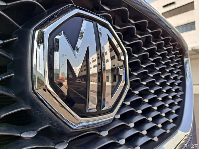 满天星的中网,配上这个闪亮的大车标,完美