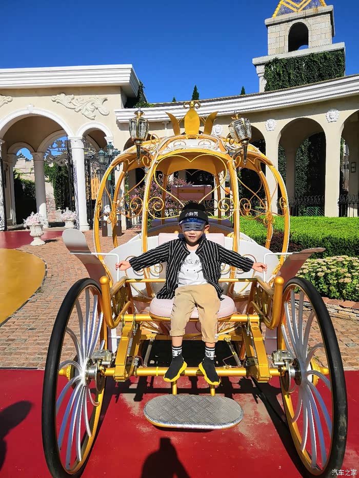 西方国家的马车,儿子非常喜欢