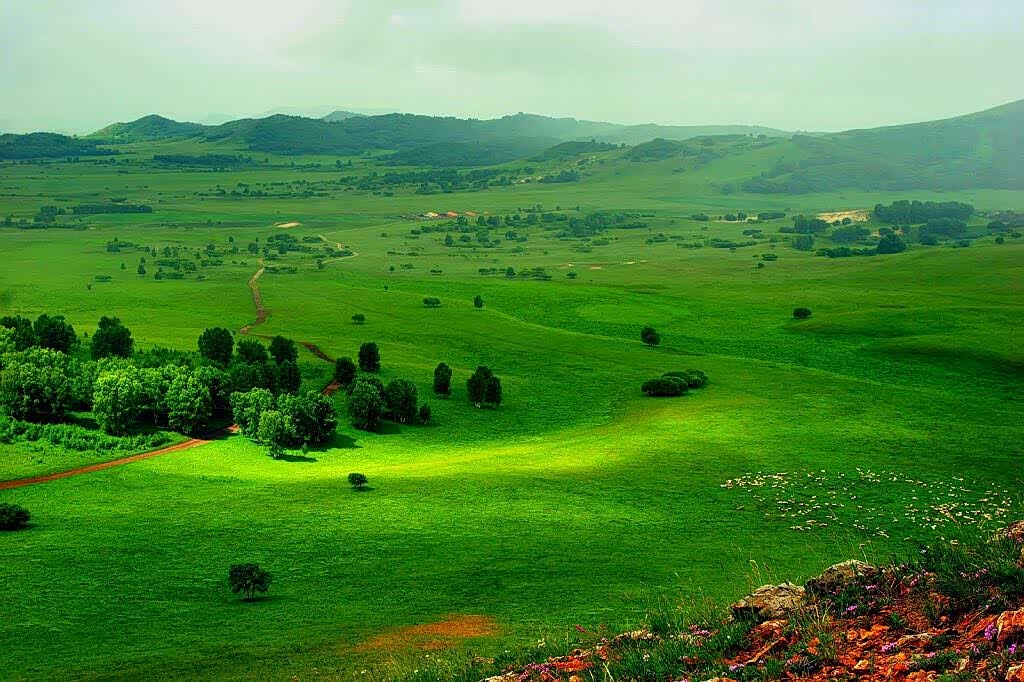 塞罕坝位于河北省承德市围场满族蒙古族自治县境内景色迷人