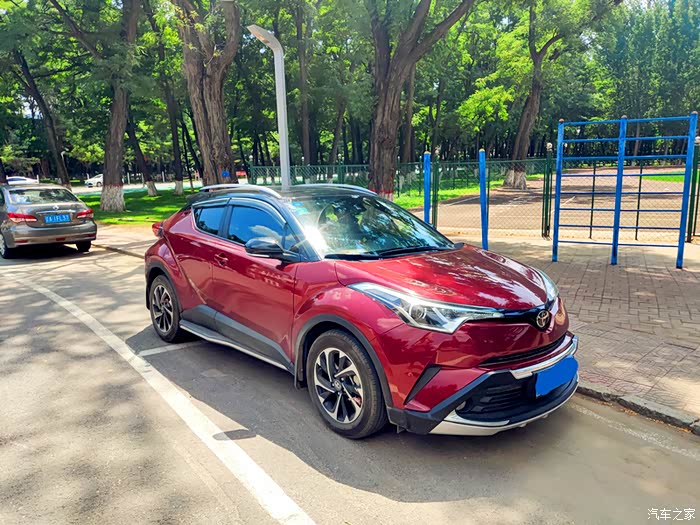 绿茵树下好乘凉给力的奕泽红黑小钢炮