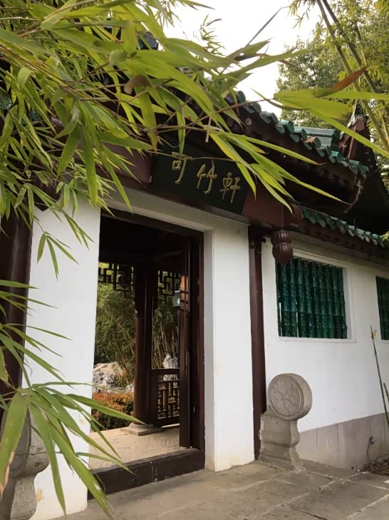 周末午后游苍柏园