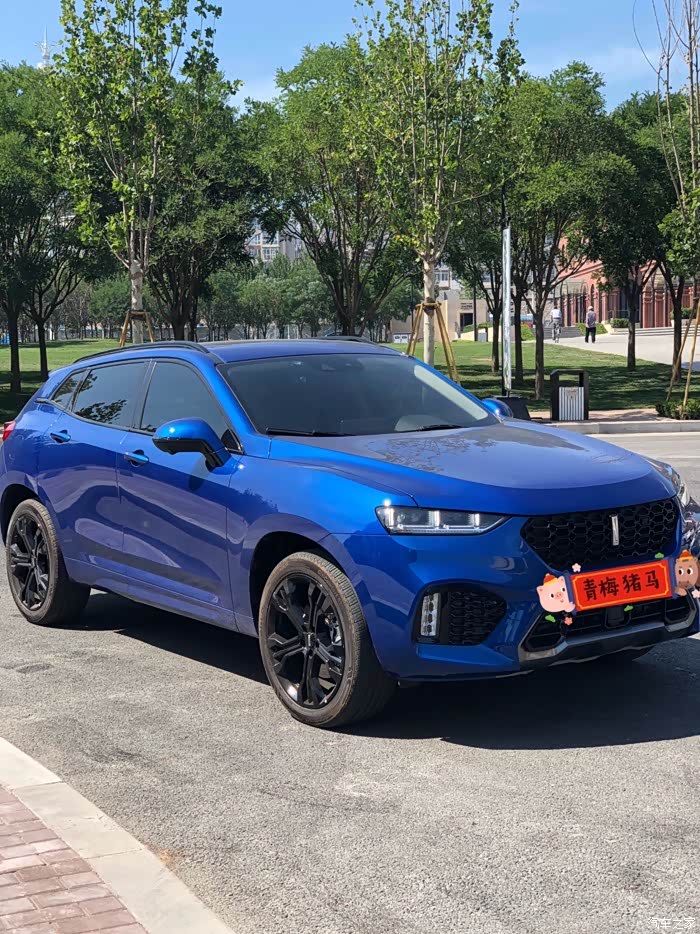 科技彰显高贵豪华触手可及的vv7