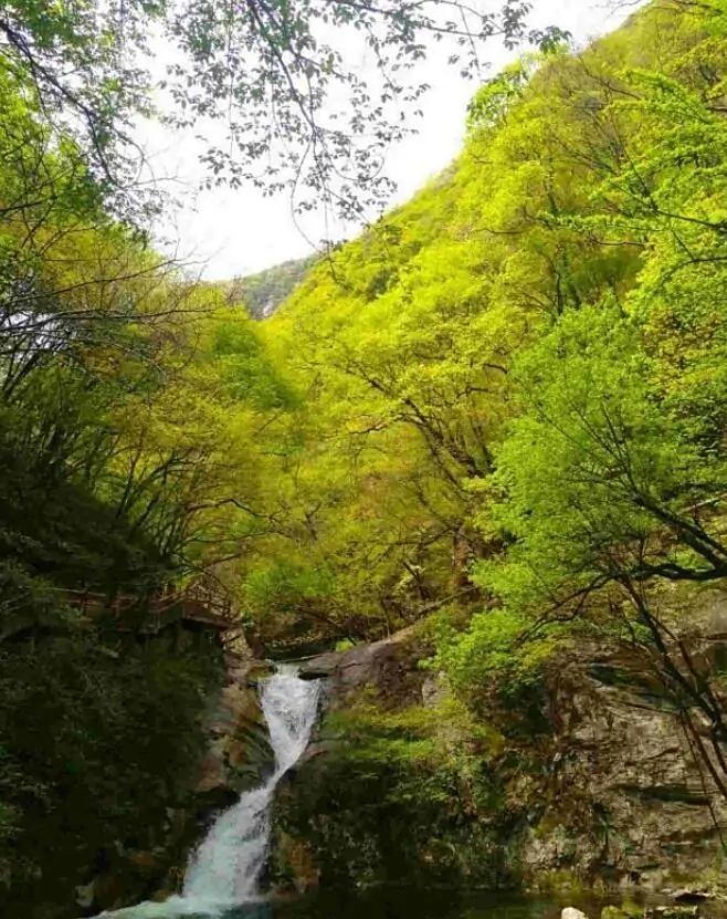 太平峪是秦嶺北麓的一道峪,名字的由來是隋朝的時候建立了太平宮