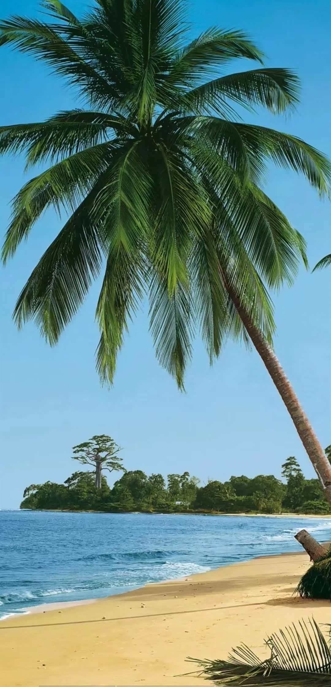 胜日寻芳泗水滨,无边光景一时新