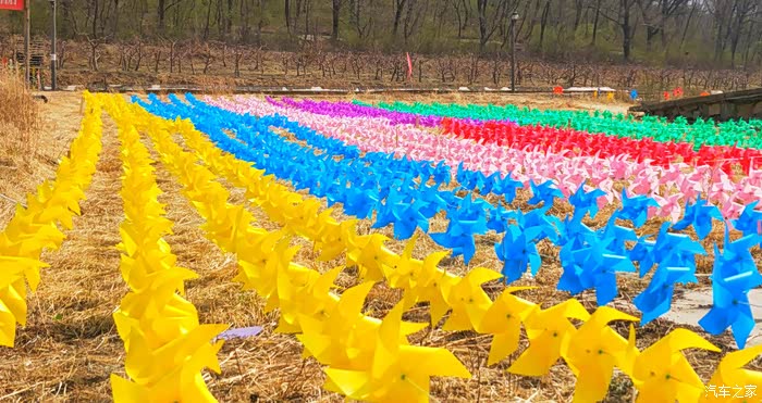 你好2021初春自驾风车节下