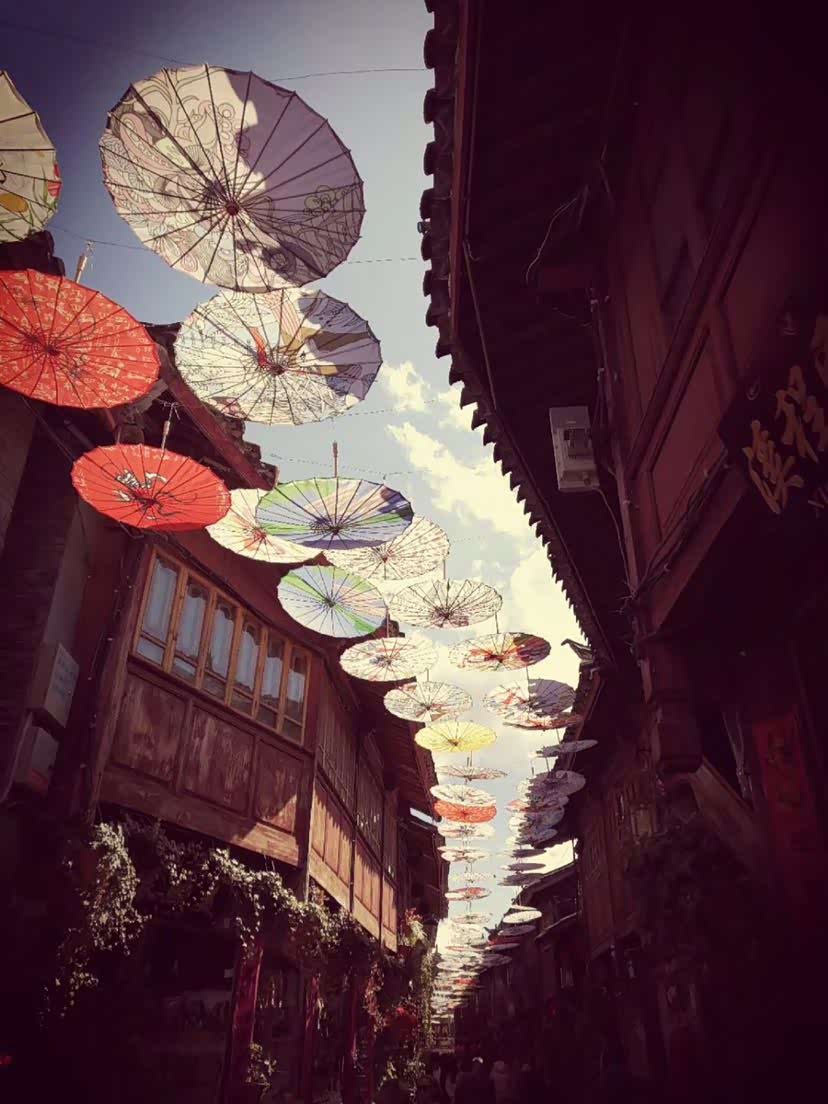 酒杯太浅,敬不到来日方长,巷子太短,走不到白发苍苍.