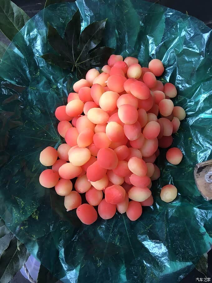 哈弗h2论坛 圣诞节出游,逛吃逛吃 排队的购买三大炮