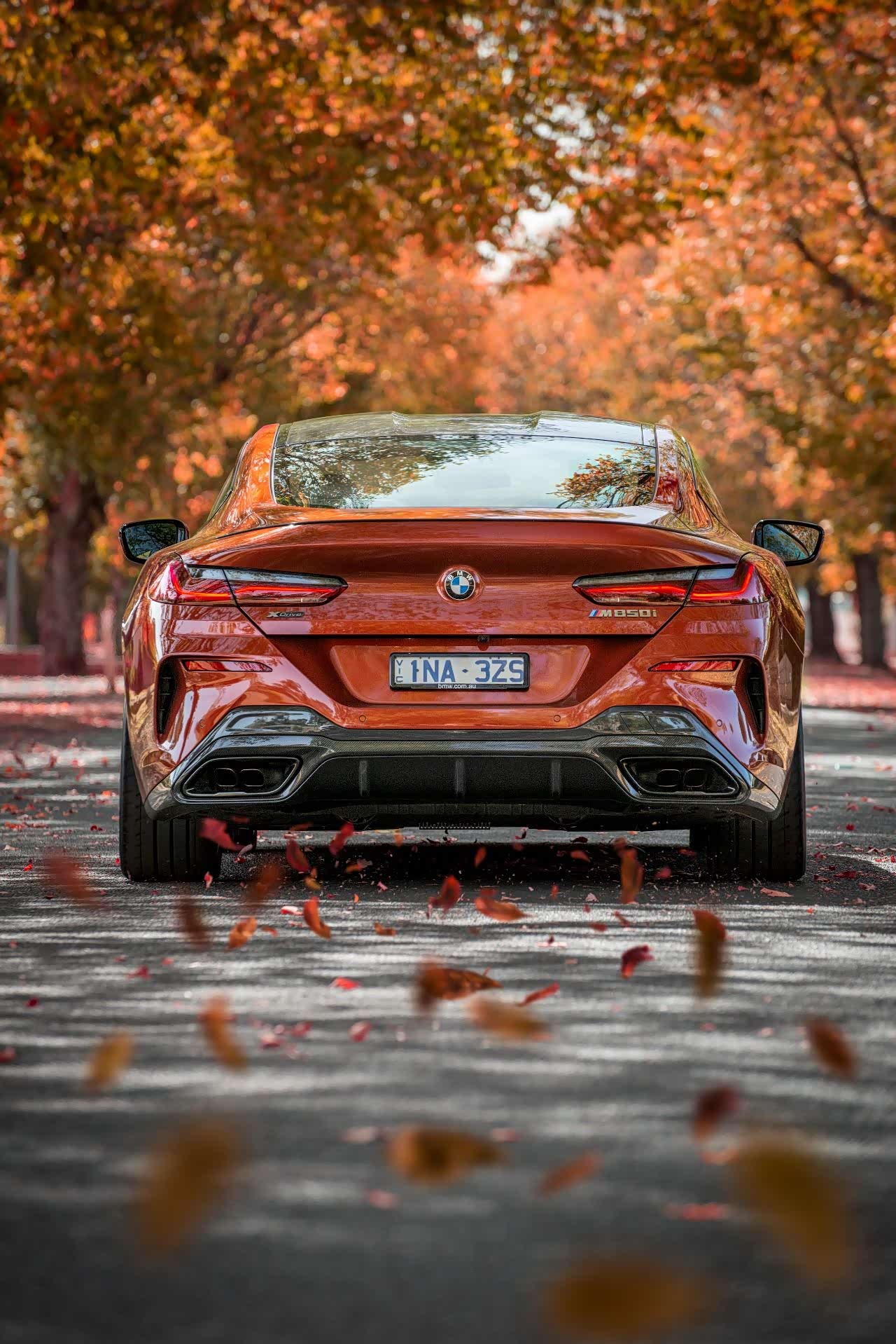 2019 bmw 850i xdrive_宝马8系论坛_手机汽车之家