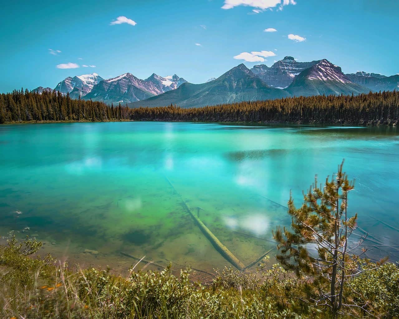 用记忆代替走过的每一个路口,每一处风景!