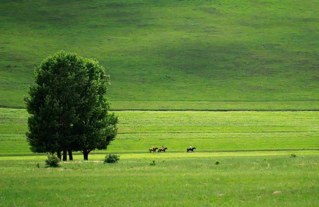 碧绿碧绿的,小清新绿色风景!