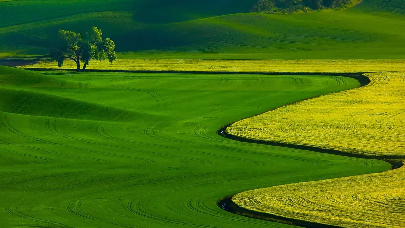 不管人生踏上那条征程,只顾欣赏沿途的风景