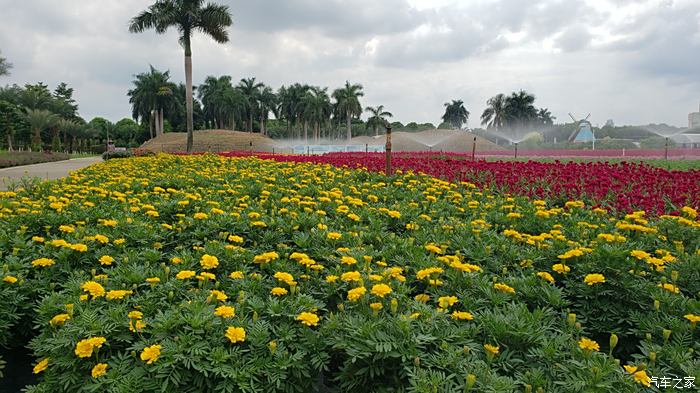 【為什麼300萬人都選帝豪gs】雙節快樂,遊賞南寧花卉公園