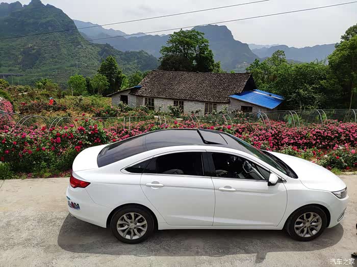 【游记】带着GL一起百花丛中过,片叶不沾身。