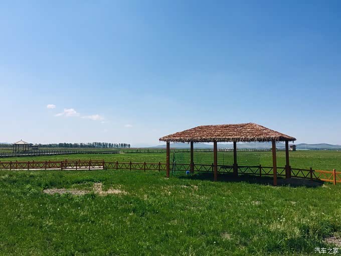 自驾沽源五花草甸