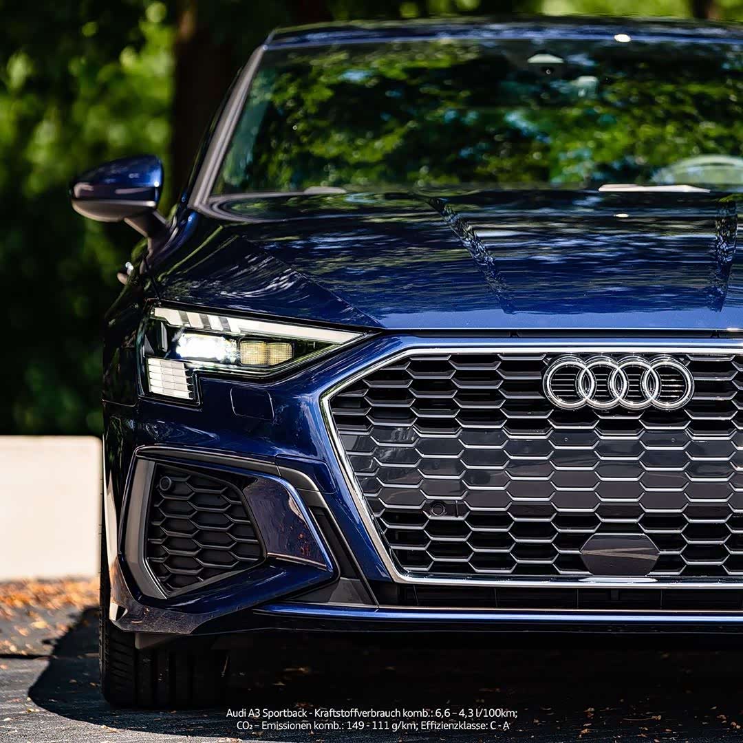 2020奥迪a3 纳瓦拉蓝车漆;小家伙长的挺别致