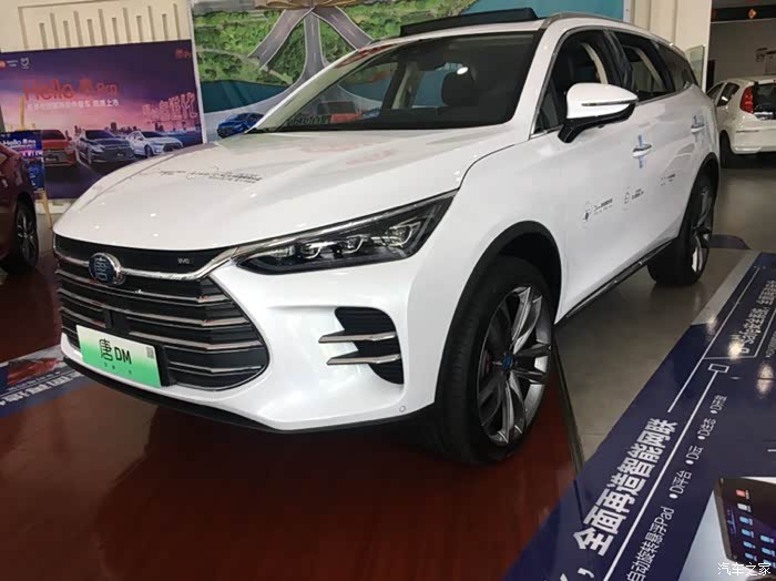 雪域白唐dm车中之精品