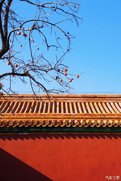 600年的故宫教会了我最高级的色彩美学.