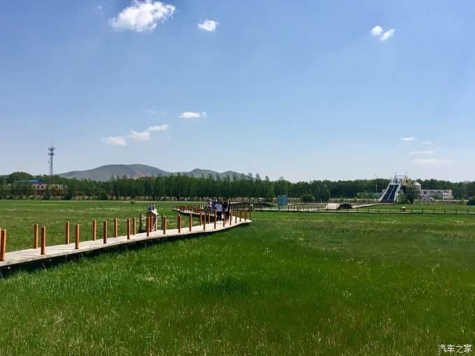 自驾沽源五花草甸