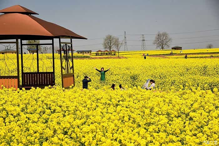 春天踏春的时间
