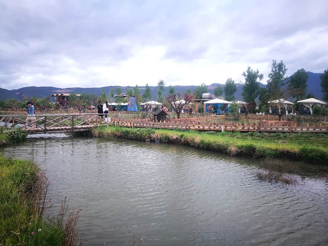 图文云南丽江拉市海候鸟湾