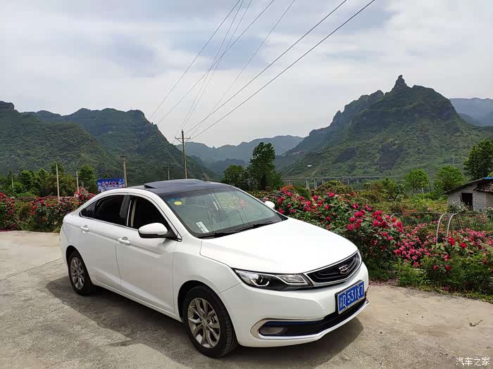 【游记】带着GL一起百花丛中过,片叶不沾身。