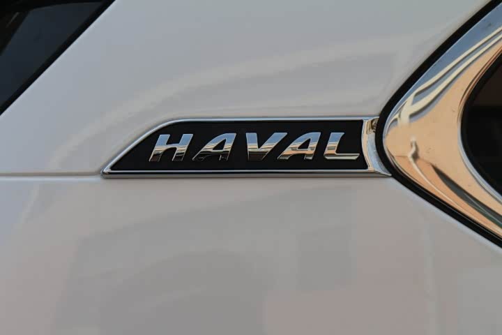 酷酷的黑白配车标