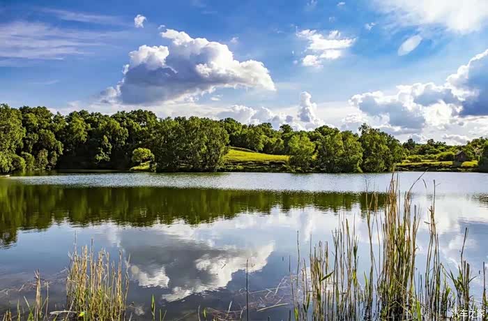 夏天的坝上草原,绿草如茵,马儿欢快的奔跑,美景如画.
