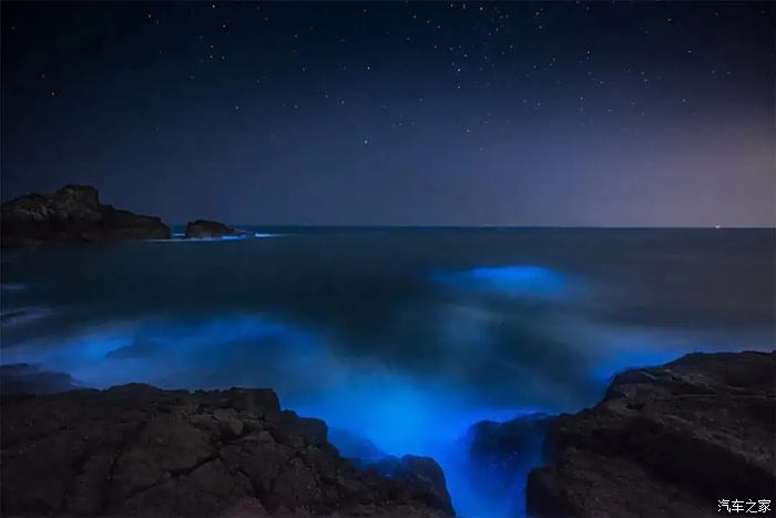 夜晚大海變成了黑色熒光般的海浪突然襲來那種美真的淚目