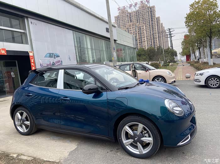 欧拉好猫绿黑色