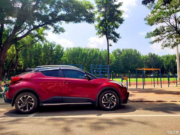 绿茵树下好乘凉给力的奕泽红黑小钢炮