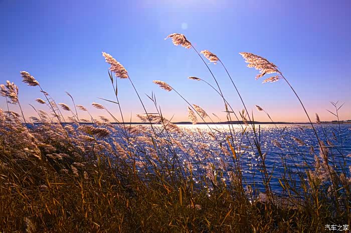 秋水盈盈,芦花荡样.芦苇声多雁满破,湿云连野见山稀.