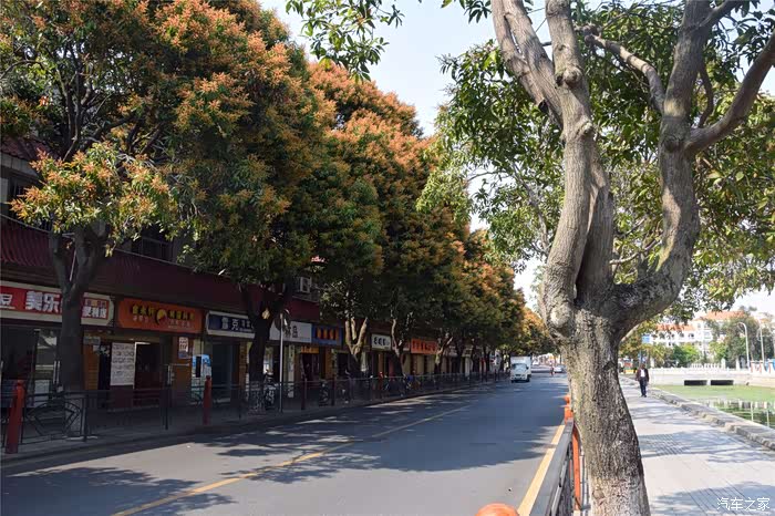 【图】【前尘忆梦】带上你的相机,一起去集美石鼓路走走_缤瑞论坛