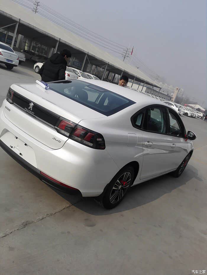 16款308小狮子三岁了