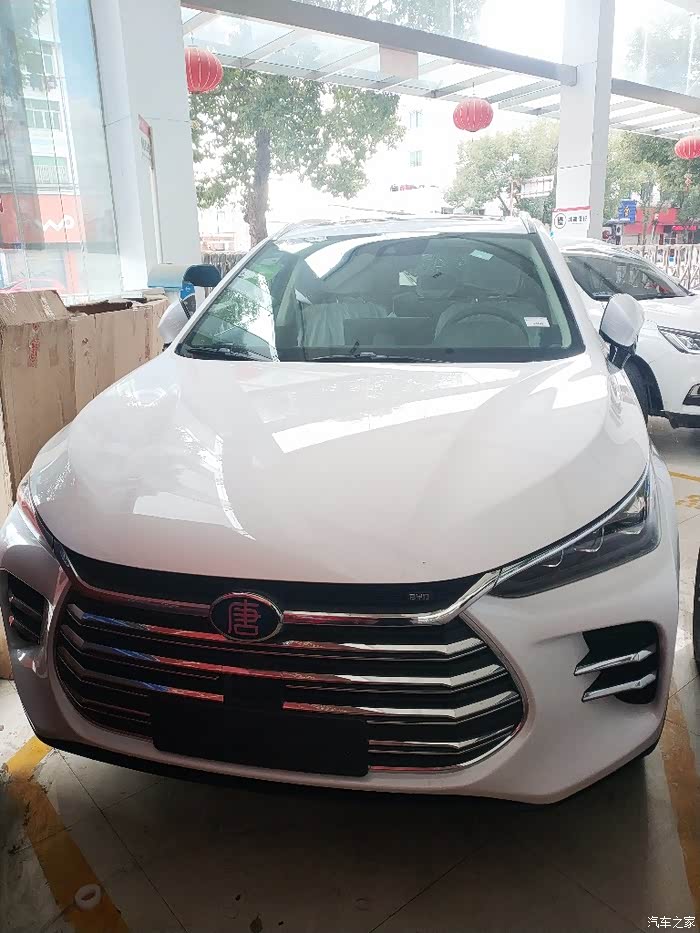 提比亚迪白色唐