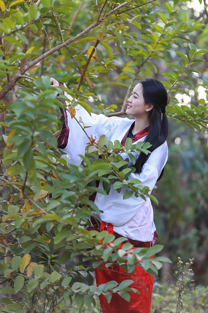 汉民族传统服饰,需要美丽小姐姐来展示,仙气十足 文静优雅