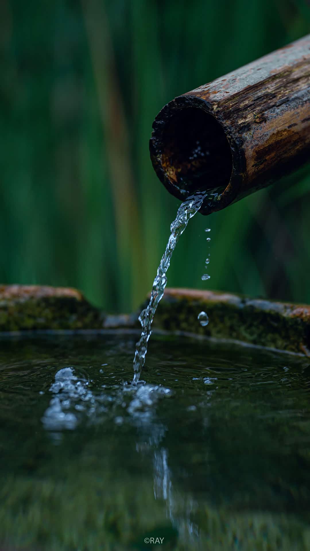 图 禅意 杭州灵隐寺.清净之地.