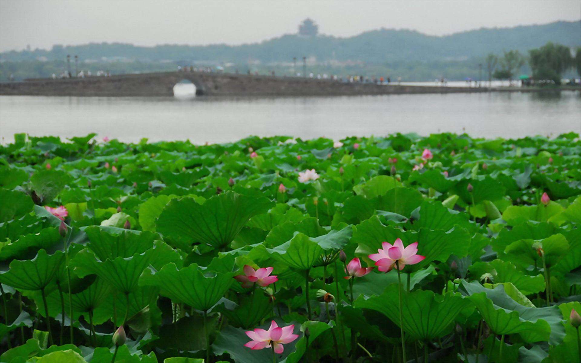 我會去流浪與你無關我看很多風景與你無關