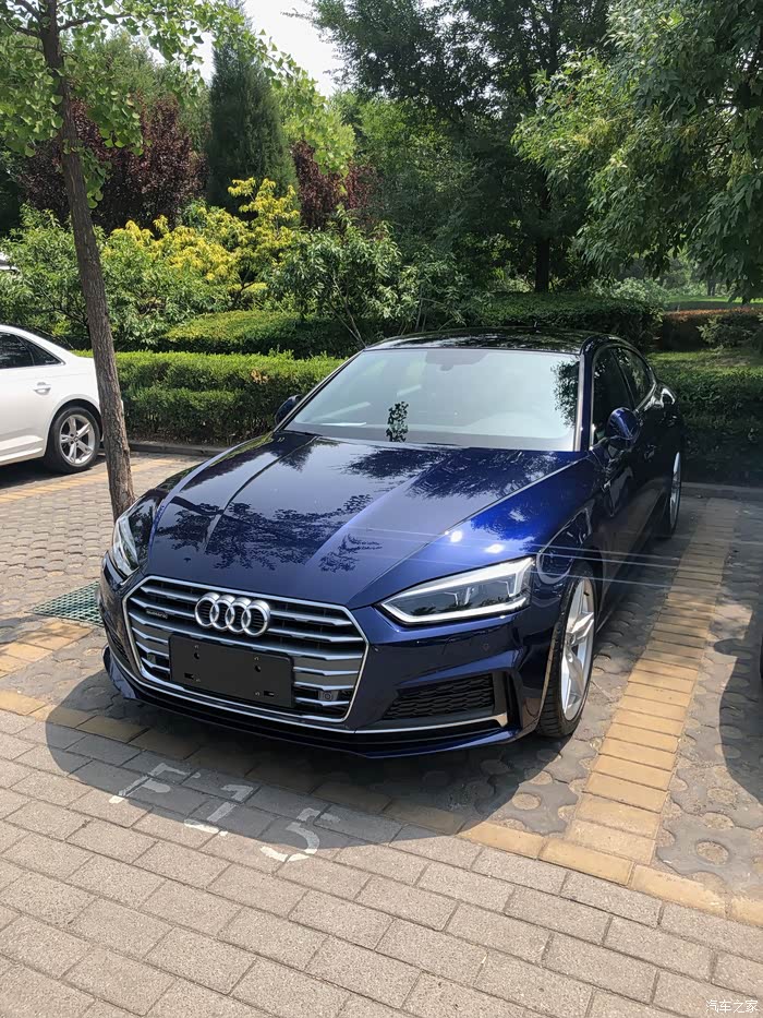 推荐一下买什么颜色的好_奥迪a5论坛_汽车之家论坛