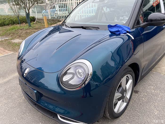 欧拉好猫绿黑色