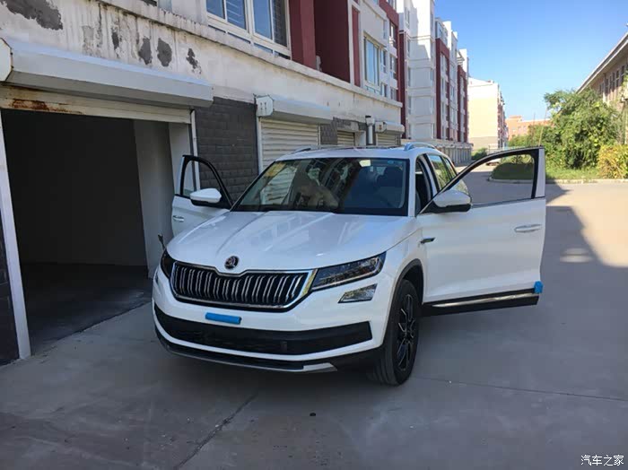 你们感觉白色柯迪亚克贴什么颜色的膜好看一些