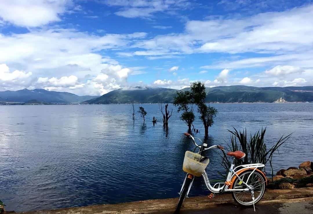 去大理,慢下来去感受风花雪月的时光